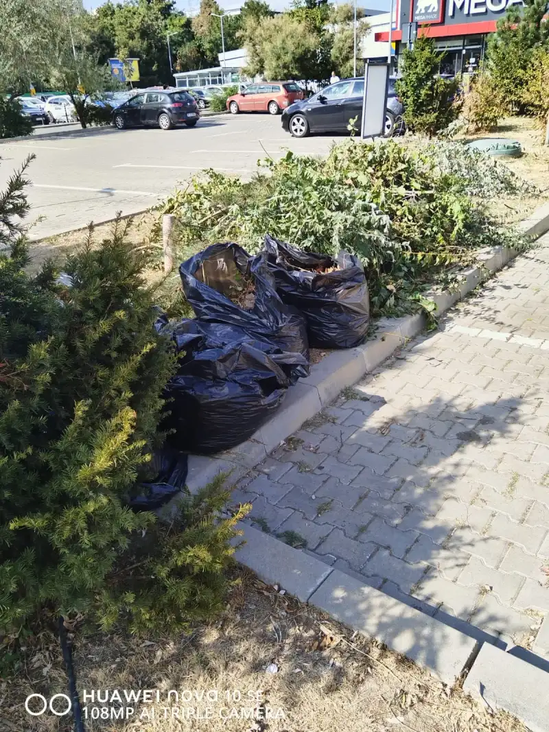 Spațiu comercial gol și pregătit pentru renovare în Sector 1